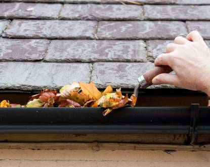 GUTTER CLEANING